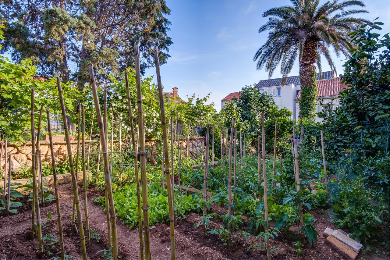 Apartments Beba Mali Losinj Exterior photo